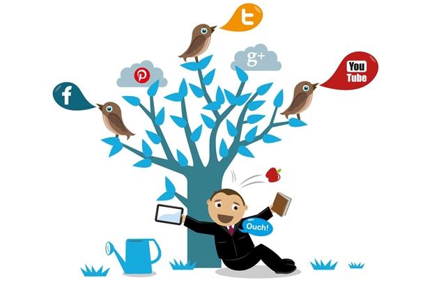 5 bước xây dựng chiến dịch social media hiệu quả